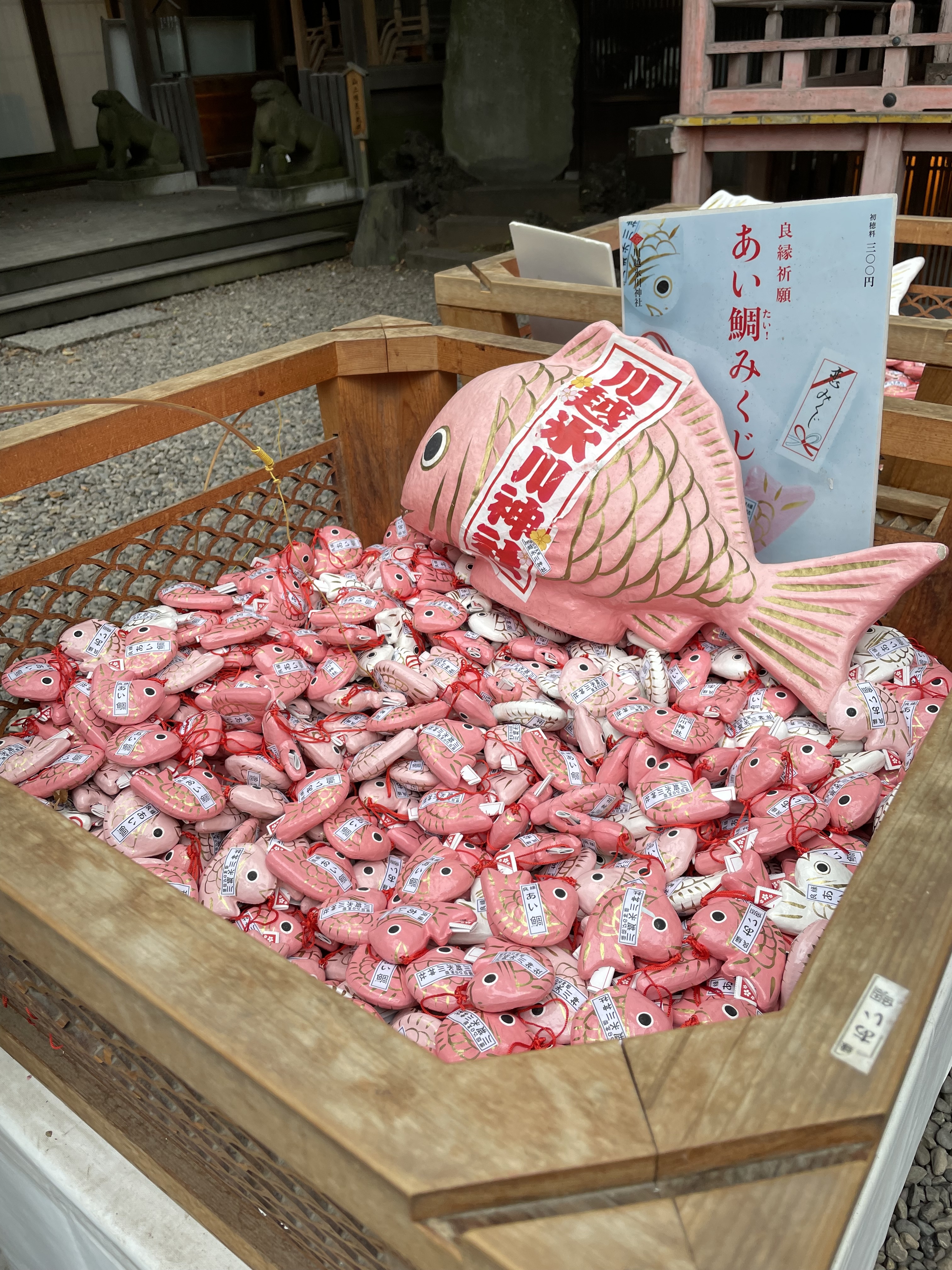 Fish Fortune Telling